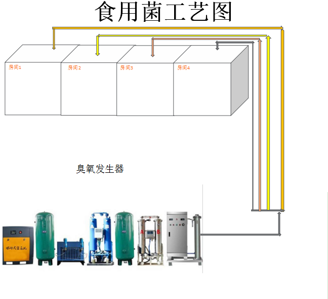 1614066245905492.png image.png