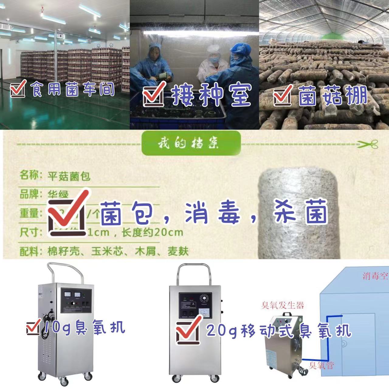 1645064354678197.jpg 食用菌原圖.jpg